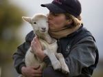 Humphrey the Rescued Lamb Survives Against All Odds