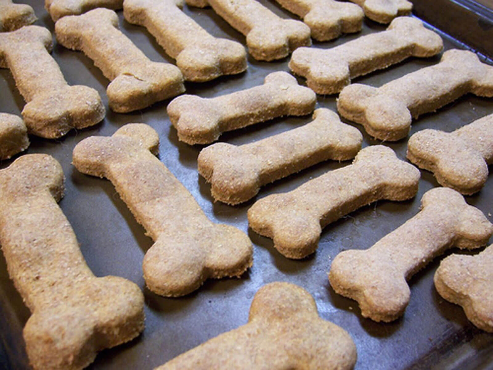 Pamper Your Pooch With These 5 Homemade Vegan Dog Treats