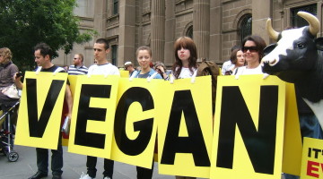 Abolition or Welfare: What Type of Vegan Are You?