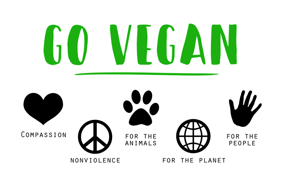 Image result for vegan